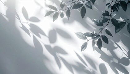 Poster - Nature shadows leaf patterns minimalist indoor artistic photography calm environment