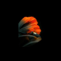 Poster - Captivating Double Exposure of Butterfly Transformation Illustrating Metamorphosis with Vibrant Colors and Ethereal Background