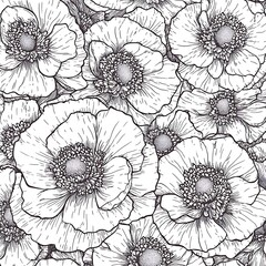 Poster - Close up view of a detailed monochrome illustration of poppies. The image showcases intricate linework depicting the flowers' delicate petals and centers. A stippled shading technique adds depth and