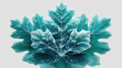 Wall Mural - teal frost covered leaves botanical beauty close up shot