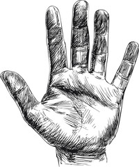 Poster - Black and white sketch of a human hand with detailed shading and line work. Vector illustration.
