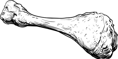 Poster - Black and white line art of a detailed chicken drumstick drawing. Vector illustration.