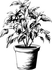 Poster - Black and white sketch of a potted plant filled with intricate leaves. Vector illustration.