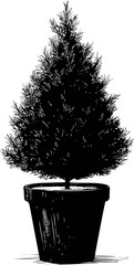 Poster - Silhouette of a potted pine tree in black and white. Vector illustration.