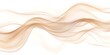 © Lilimanatasa - Beige and brown wavy vector background, an abstract and elegant smoke design element isolated on a white background with copy space
