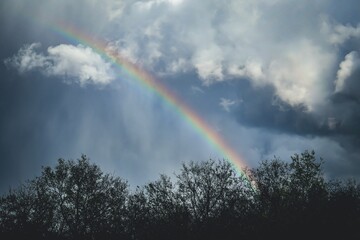 rainbow in the sky