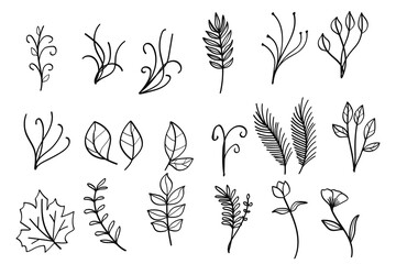 Poster - Botanical Plants and Flowers Line Art Collection