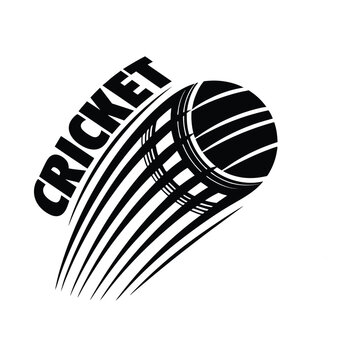 Monochrome Motion- Dynamic Cricket Emblem Logo