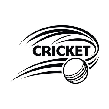 Monochrome Motion- Dynamic Cricket Emblem Logo