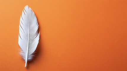 Poster - Single White Feather on Burnt Orange Background, Minimalist Still Life