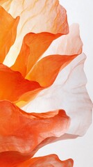Poster - This vivid orange poppy captivates with its delicate petals, showcasing a gradient of colors. Photographed near a serene garden, it highlights the beauty of nature during spring