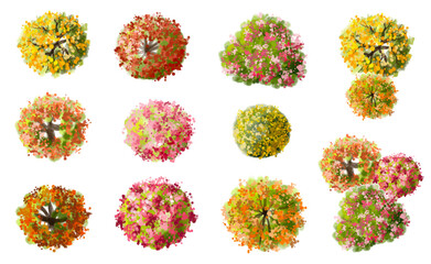 Fototapete - Vector watercolor blooming flower tree or forest top view isolated on white background for landscape plan and architecture drawing,plant for environment or garden,botanical element for exterior layout