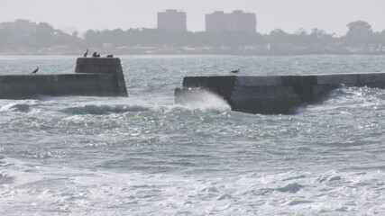 Wall Mural - protective coastal engineering structures standing resilient against powerful ocean waves, with seag