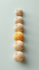 Poster - Lunar Rhythm Visualization Minimalist Moon Phase Progression in Soft Pastel Tones - Contemporary Scientific for Digital Educational Content