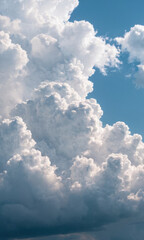Poster - A commercial airliner soaring through a bright blue cloudless sky, perfect for travel or aviation themes