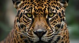 Captivating close-up portrait of a jaguar with striking green eyes and intricate patterns.