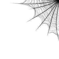 A spider web is drawn in black and white on a white background. The web is curved and twisted