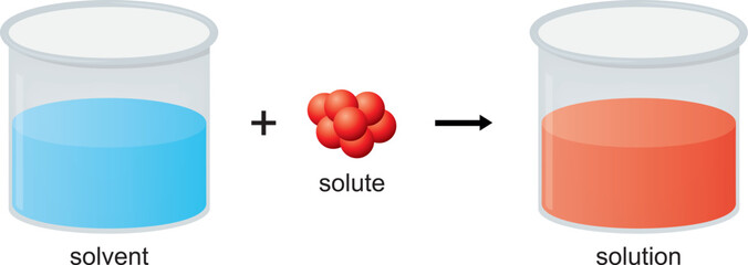 Scheme of solubility in chemistry. Solvent and solution diagram. Vector illustration.
