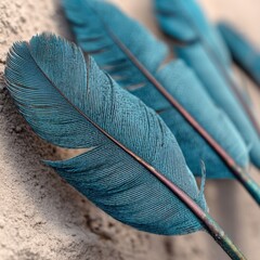 Poster - close up of teal feathers on sand surface with shallow depth of field and soft lighting for a dreamy