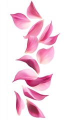 Poster - Delicate pink lotus petals gracefully cascade against a pristine white backdrop soft light enhances subtle textures creating a serene and elegant floral composition