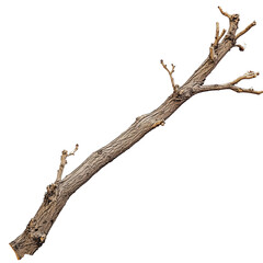 Poster - A single dry tree branch lies on an empty area