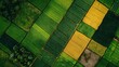 © BABEKU - Aerial view geometric pattern agricultural fields green yellow crops farming