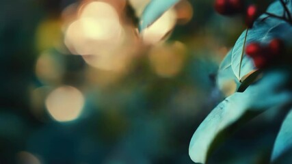 Poster - A blue butterfly perched on the edge of a leaf, showcasing its delicate wings and bright blue color