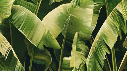 Poster - Drawing of green leaves with a yellow center. The leaves are arranged in a way that they look like they are growing out of a tree. The drawing has a calming and peaceful mood