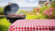 © Studio - summer time in backyard garden with grill BBQ, table with red checkered cloth, blurred background