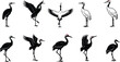 © Royal Ability - Crane bird vector set showing different poses and wing positions in black detailed line art drawing
