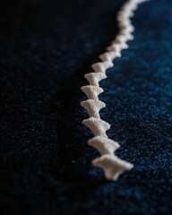 Poster - Abstract Spine of White Foam on Dark Blue Background in Macro Photography Studio Shot