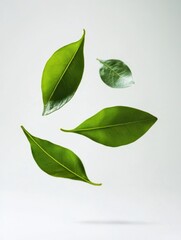 Poster - Floating Green Leaves on White Background Minimalist Nature Concept Freshness and Vitality