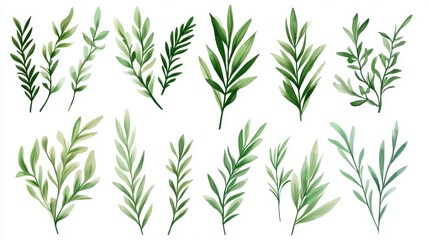 Poster - Watercolor Greenery Collection of Branches and Sprigs for Wedding Invitations and Designs