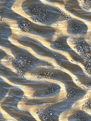 Poster - Aerial View of Sand Ripples and Pebble Deposits on a Beach Surface in Natural Light
