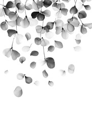 Aufkleber - Serene dispersion of delicate floral elements against a pure transparent canvas for creative design