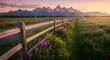 © Muchlis Nugroho - Serene Sunrise Over the Teton Range: A Wildflower Meadow Path