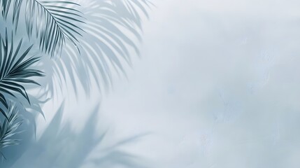Poster - Delicate palm leaf shadows on a light backdrop.