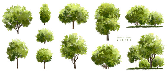 Wall Mural - vector watercolor green tree or forest side view isolated on white background for landscape and arch