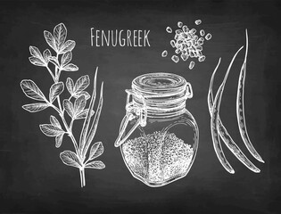 Wall Mural - fenugreek chalk sketch