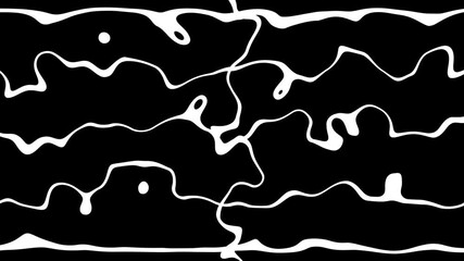 Poster - Abstract Black And White Fluid Lines Animation