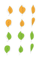 Poster - Colorful Tree Leaves Line Art Isolated Set. Plants and flowers, nature vector art
