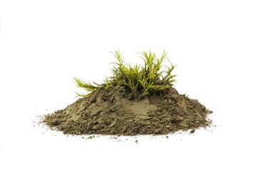 a small mound of soil with sparse, light green vegetation atop