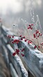 © doaibu - Frozen berries on a rustic fence