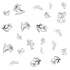 Naklejka na meble Flower Set Pattern Line Art 