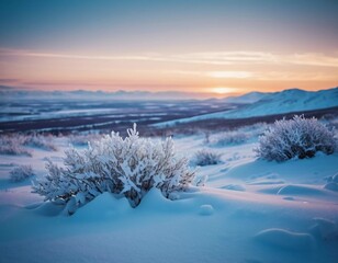 Poster - Beneath a serene winter sky, fragile tundra plants emerge from layers of glistening snow. The distant mountains bask in warm hues as the sun sets, casting a tranquil glow Generative AI