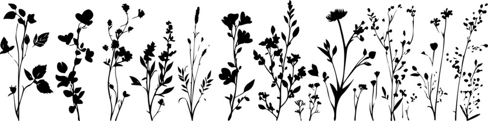Naklejka na meble Silhouettes of Various Plants and Flowers in a Minimalist Style
