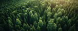 Aerial view of dense Finnish spruce and pine forest canopy in summer, soft sunlight filtering through. Serene Nordic landscape with lush green foliage.