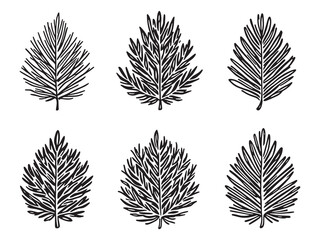 Pine leaf detailed line art vector illustration design