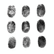 © umut hasanoglu - Collection of unique fingerprints in a grid format, showcasing individuality and identification.