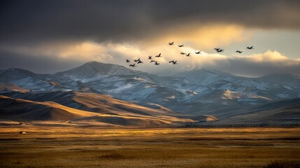 Wall Mural - a flock of birds soaring through the sky above a snow-capped mountain range